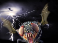 /album/ilustraciones/tpn-1-webwallpaper-gonz-lez-sardi-dv1a-jpg/